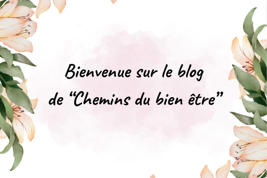 BIENVENUE SUR LE BLOG !