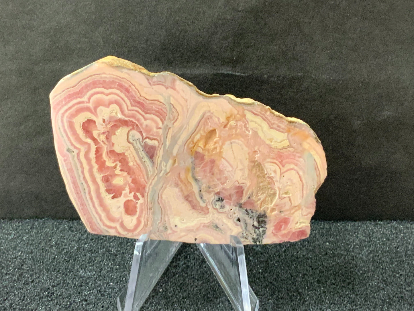 Socle en plastique transparent
