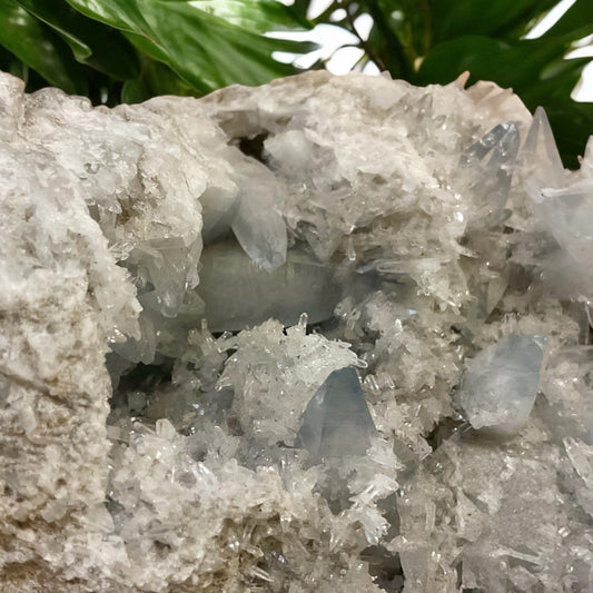 Géode en Célestine de 3,5kg