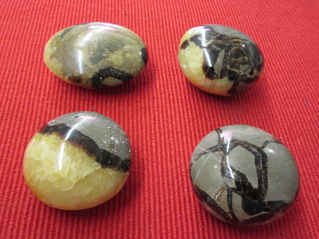 Septaria galet de Madagascar