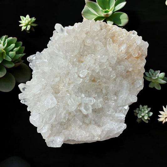 Druse de cristal de roche (amas cristallin)