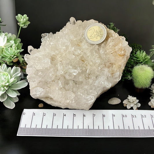 Druse de cristal de roche (amas cristallin)