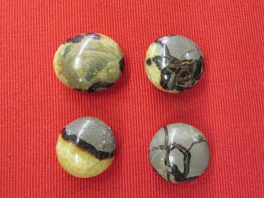 Septaria galet de Madagascar
